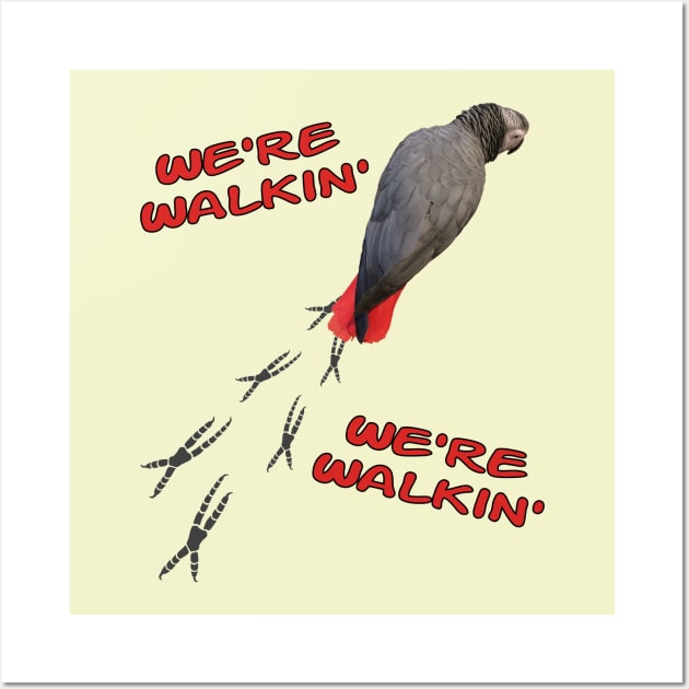 African Grey Parrot Walking Wall Art by Einstein Parrot